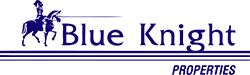 Blue Knight Consulting
